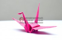 Origami hạc giấy